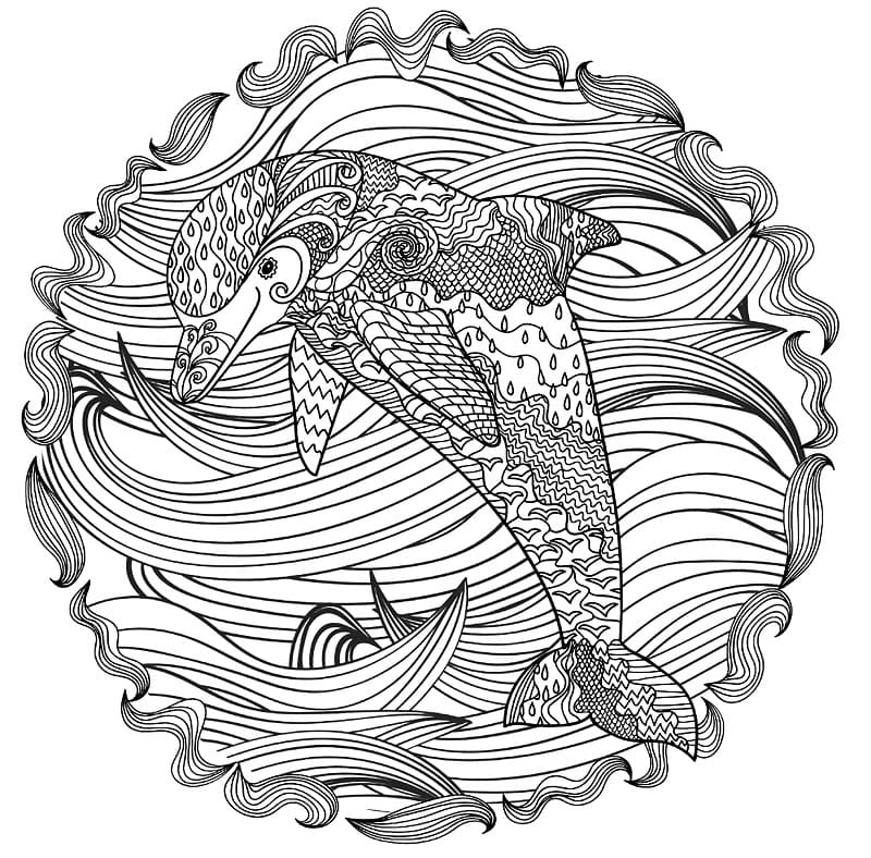 Mandalas Dauphin 19